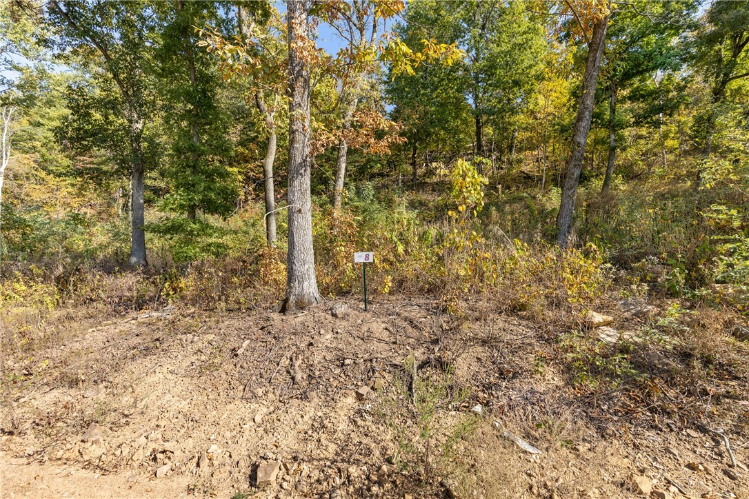 Property Photo:  Lot 8 Peaceful Place  AR 72601 