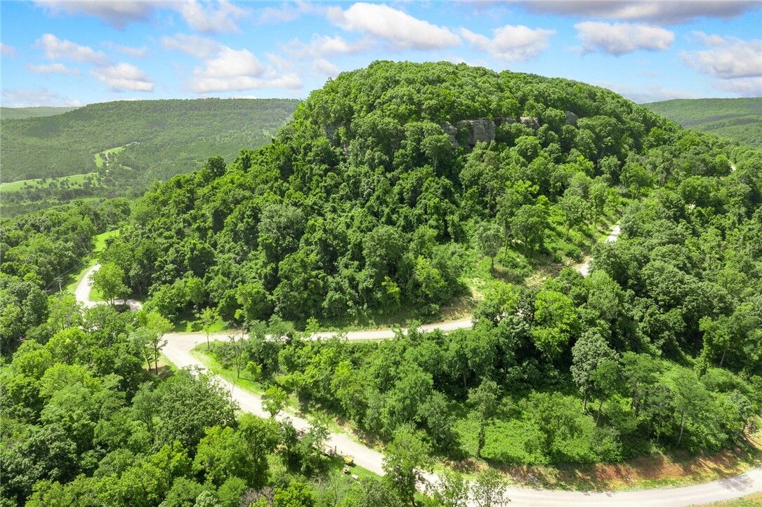 Property Photo: Lot 8 Peaceful Place AR 72601