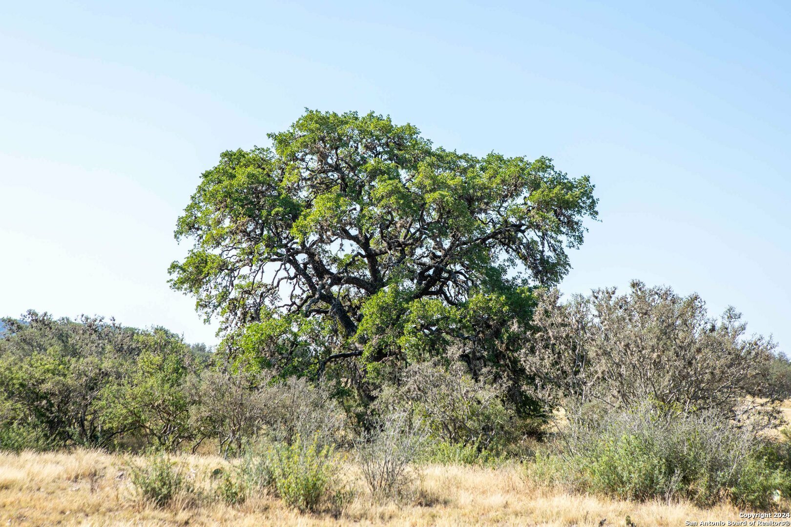 Property Photo: 775 Powers Ranch Rd TX 78873