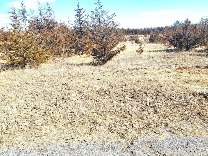 Property Photo:  521 Hwy 41 N/A  ON K0K 2W0 