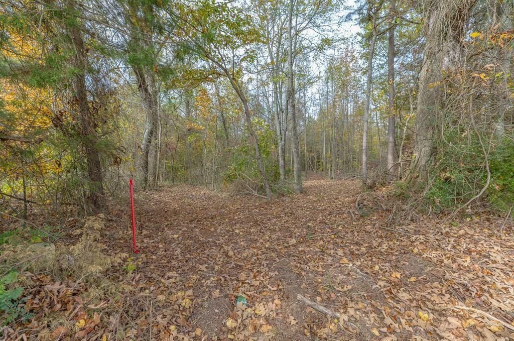 Property Photo:  Tract 7 Old Dalton Cleveland Hwy  GA 30710 