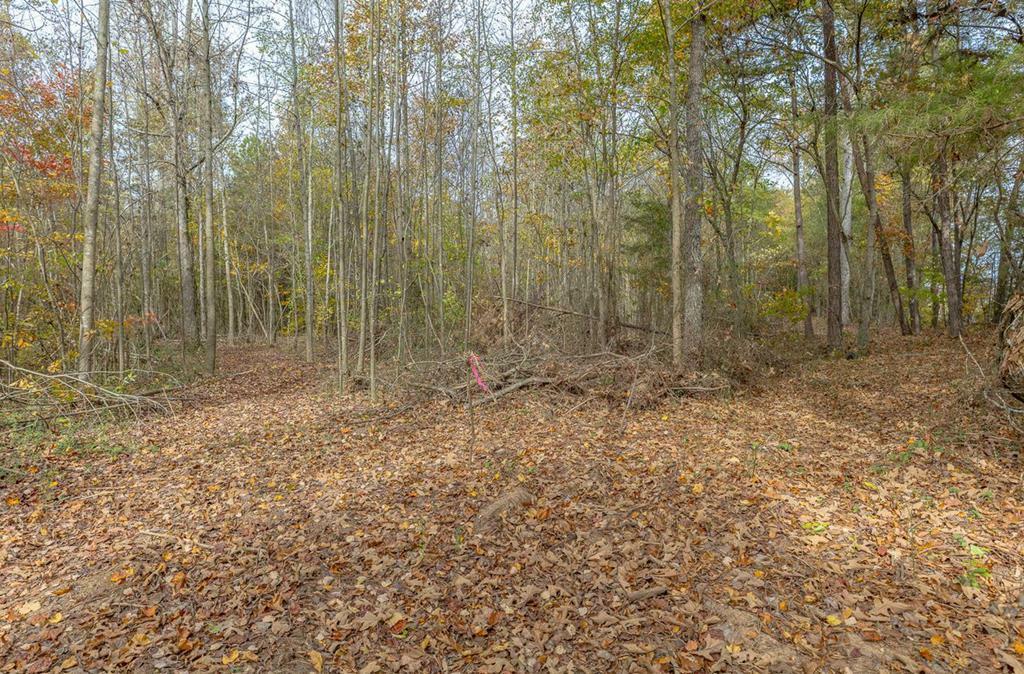 Property Photo:  Tract 4 Old Dalton Cleveland Hwy  GA 30710 