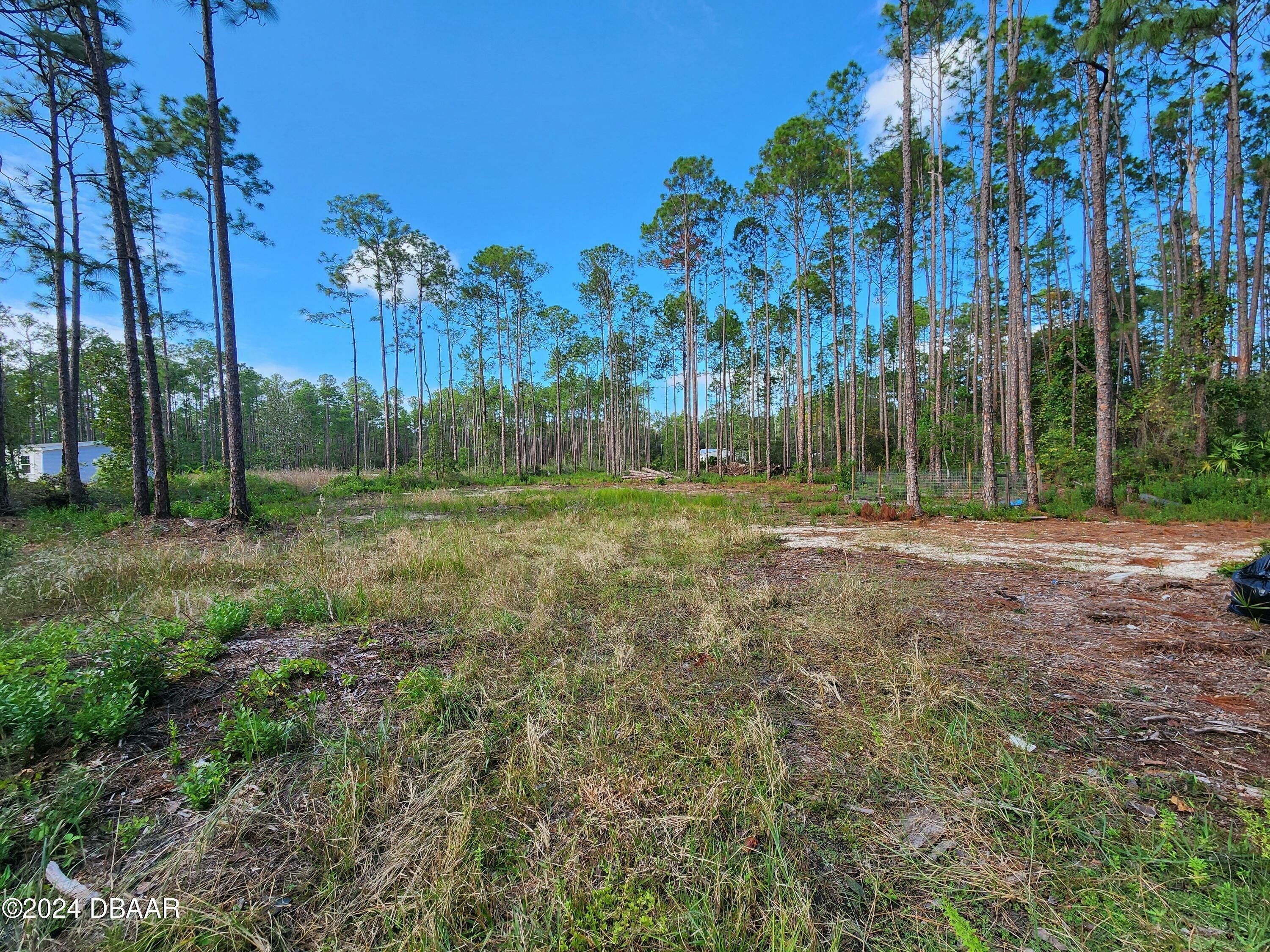 Property Photo:  5356 Nutwood Avenue  FL 32110 