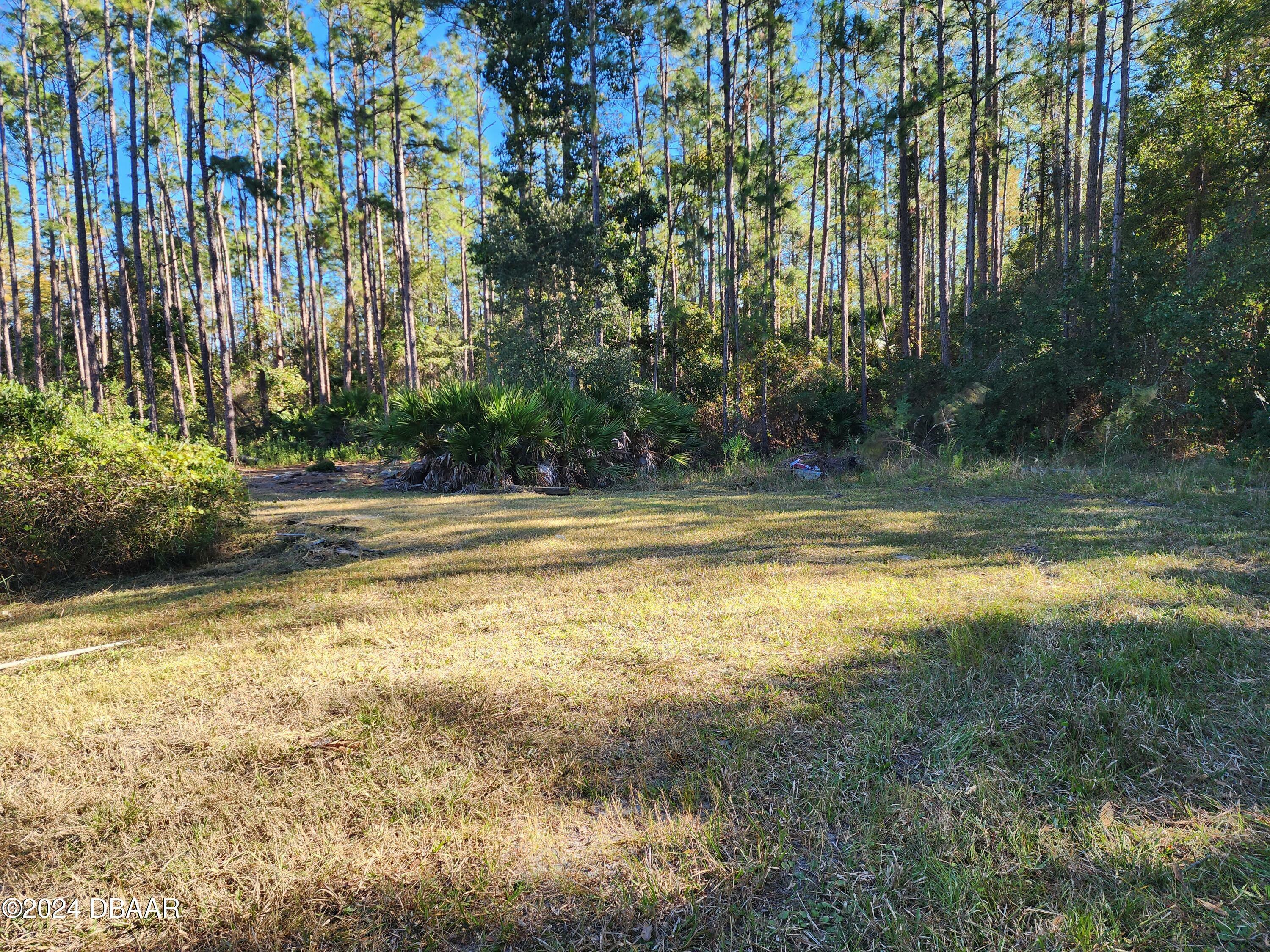 Property Photo:  5356 Nutwood Avenue  FL 32110 