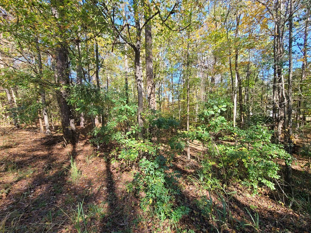 Property Photo:  Lot 3B Cherry Drive  GA 31831 