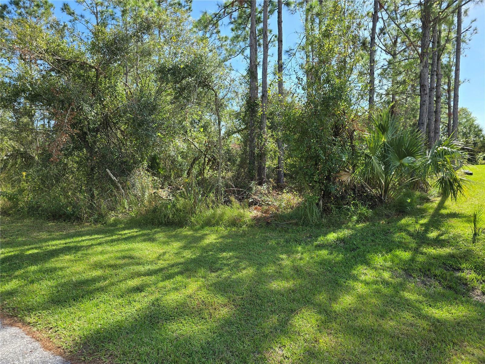 Property Photo:  Lot 6 Roman Avenue  FL 34291 