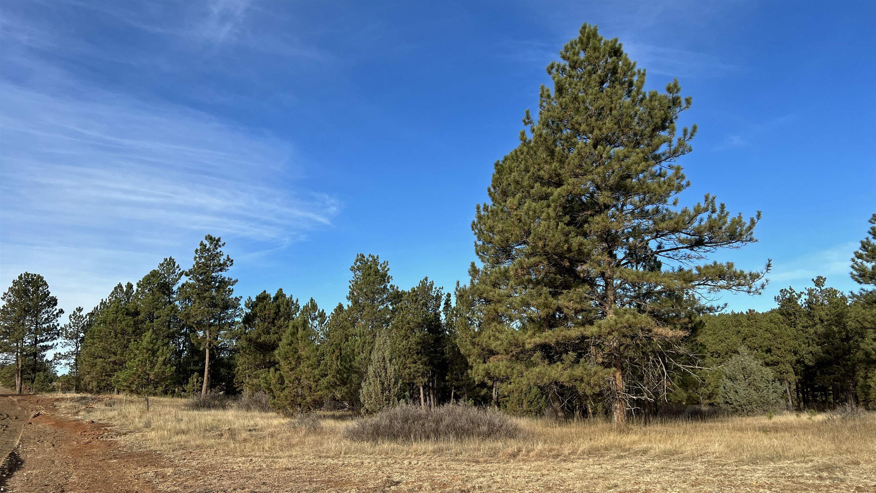 Property Photo:  Lot 4 Westwind Drive  SD 57747 