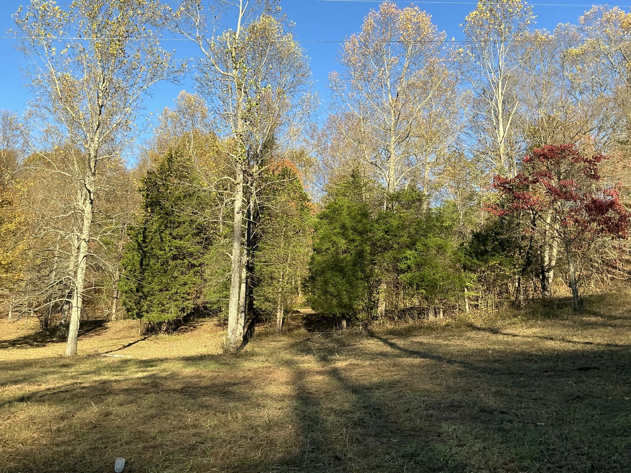 Property Photo:  375 Red Tuttle Rd  TN 37022 