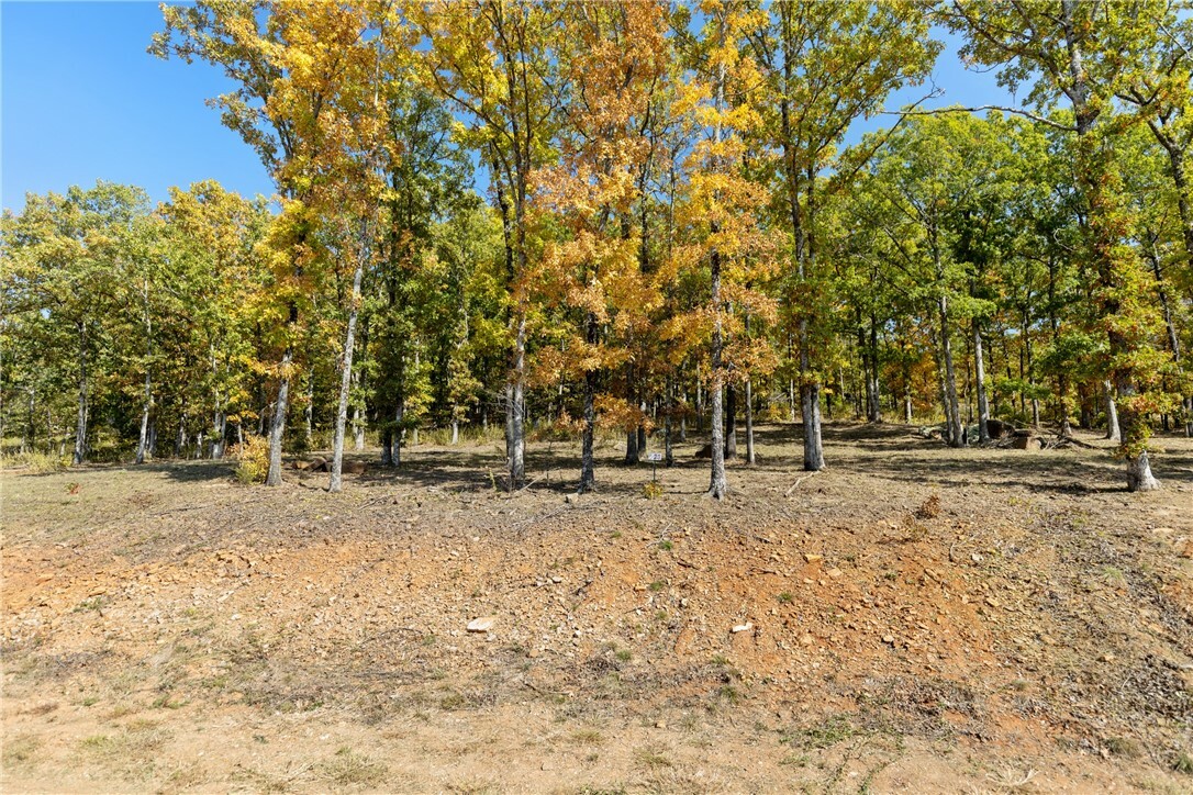 Property Photo:  Lot 23 Restore Ridge  AR 72601 