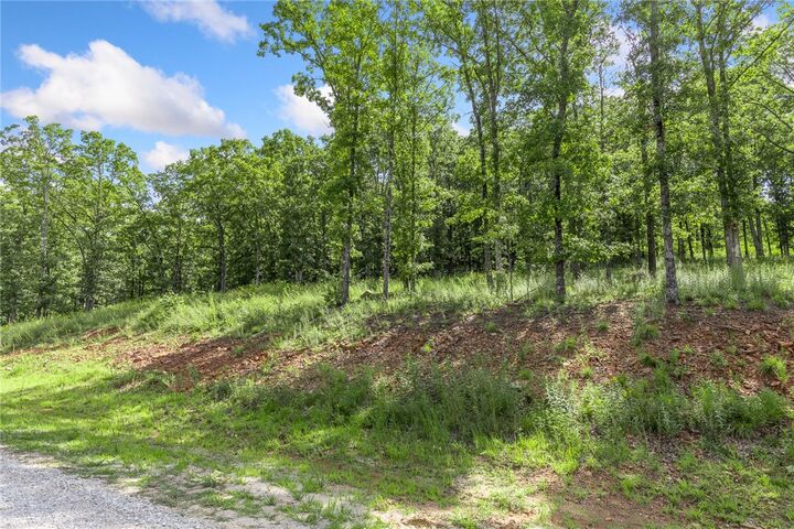 Property Photo: Lot 23 Restore Ridge AR 72601