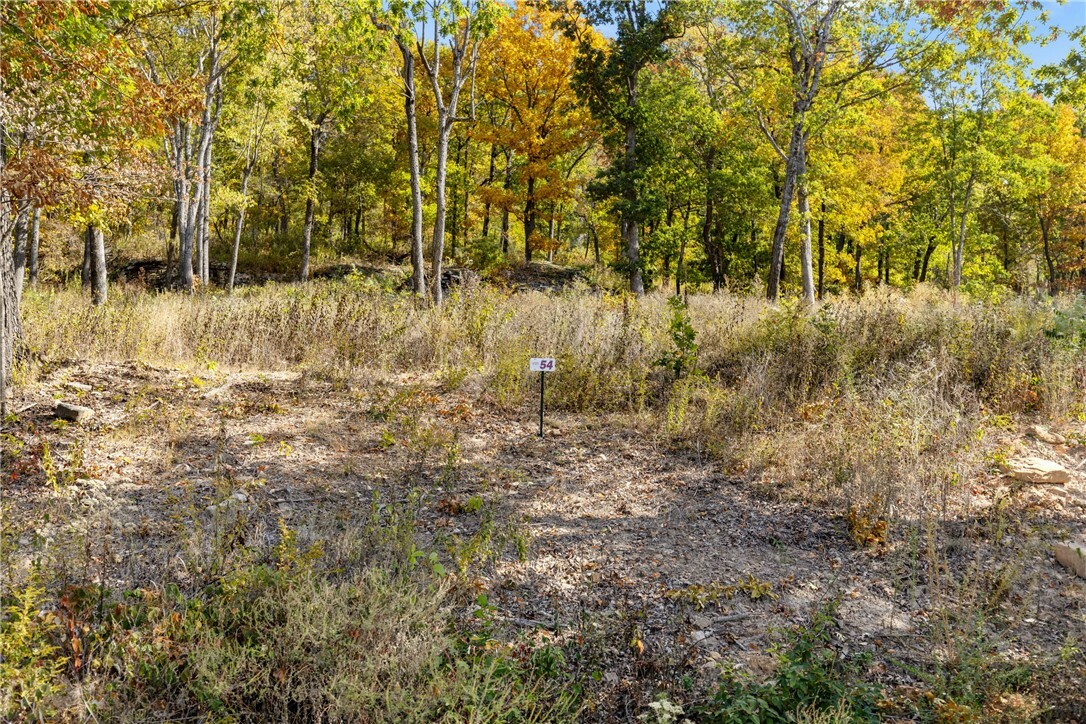 Property Photo:  Lot 54 Restore Ridge  AR 72601 