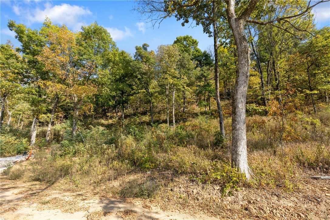 Property Photo:  Lot 9 Peaceful Place  AR 72601 