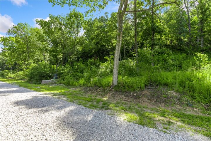 Property Photo: Lot 9 Peaceful Place AR 72601