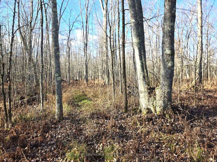 Property Photo:  0 Enright Road  ON K0K 3A0 