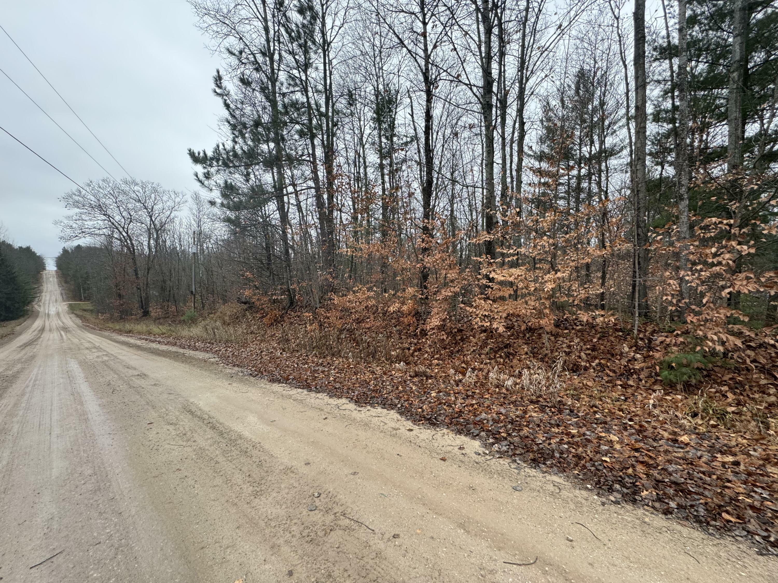 Property Photo:  16204 Timber Line Drive  MI 49799 