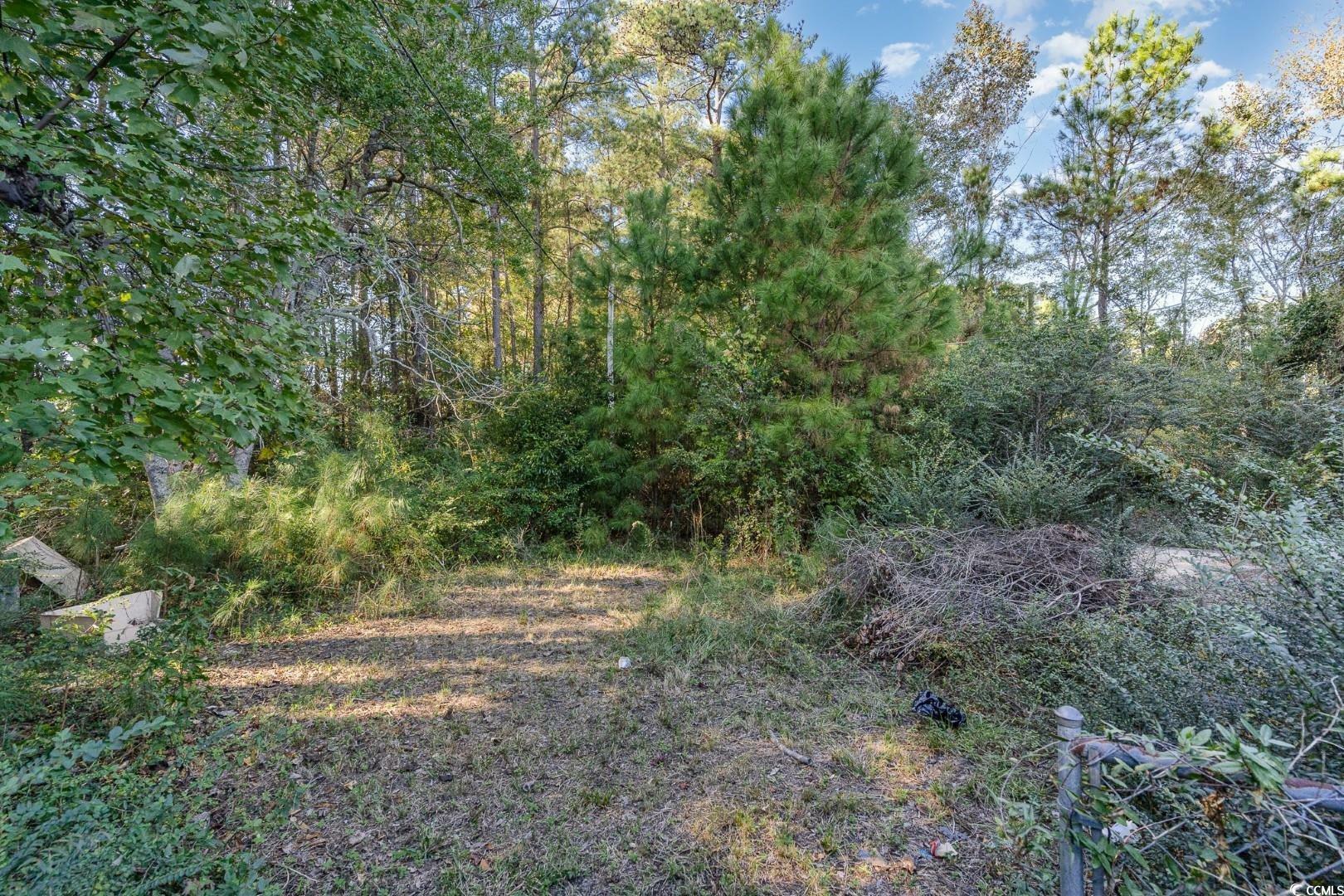 Property Photo:  4697 Dick Pond Rd.  SC 29588 