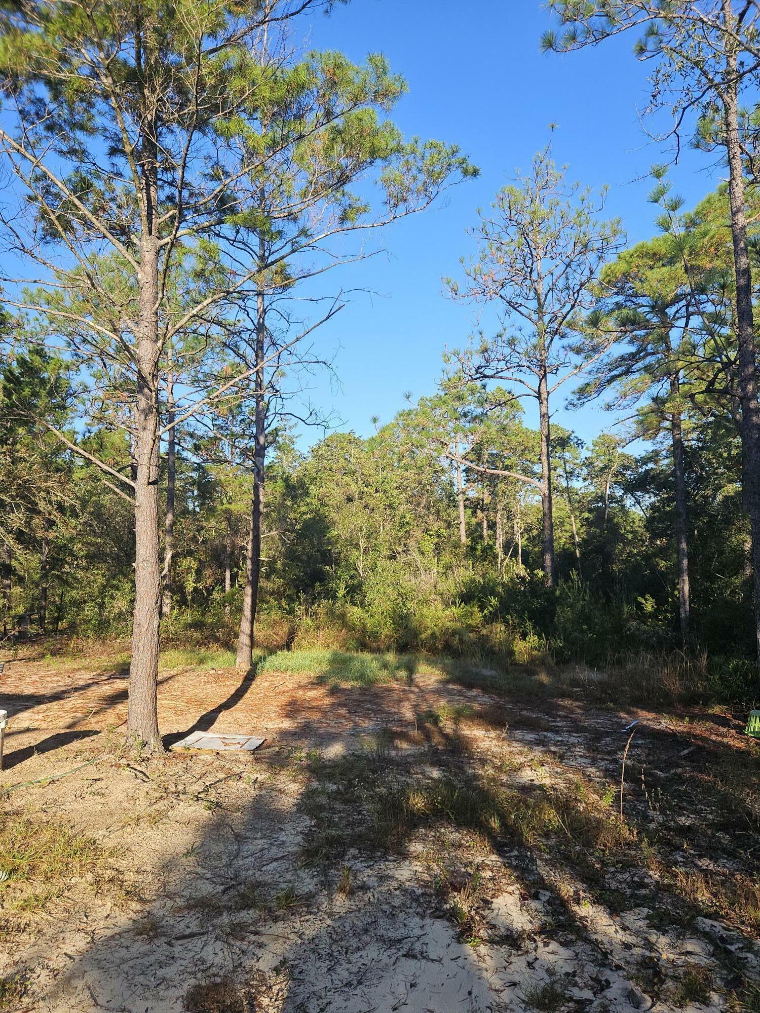 Property Photo:  225 E White Rose Street  FL 32433 