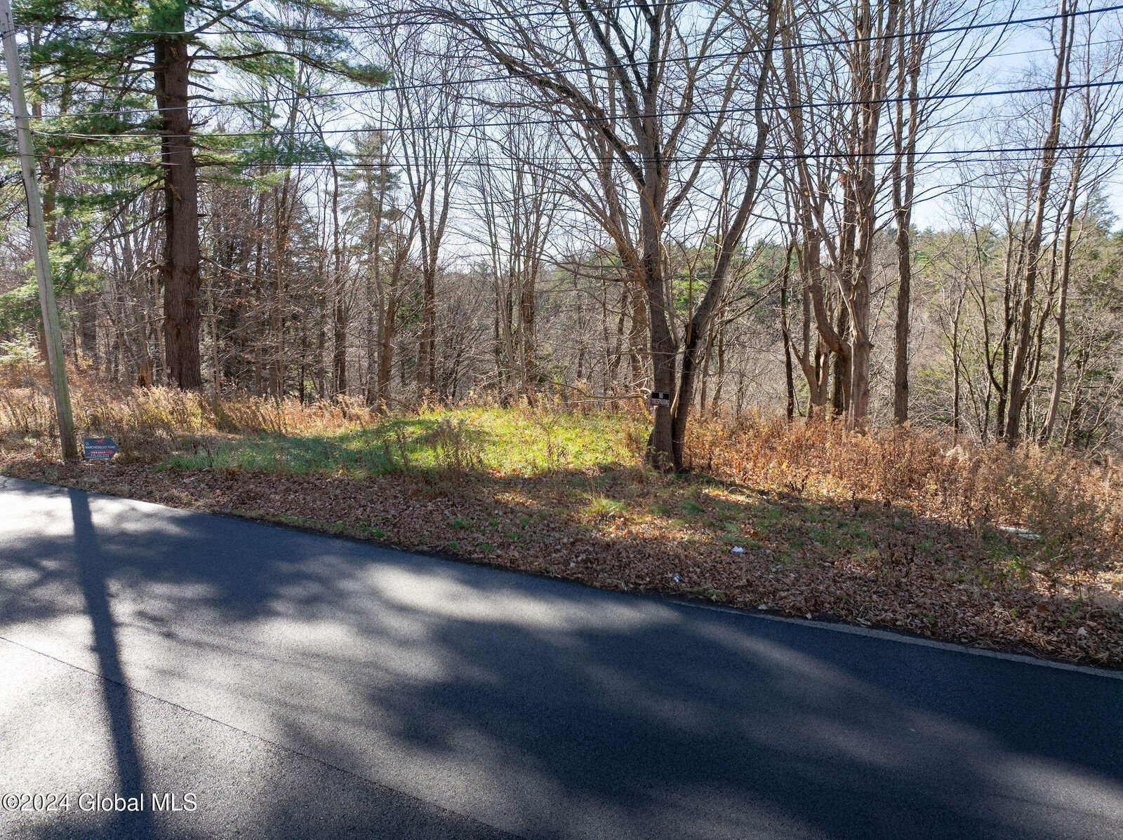 Property Photo:  99 Maple Avenue  NY 12020 