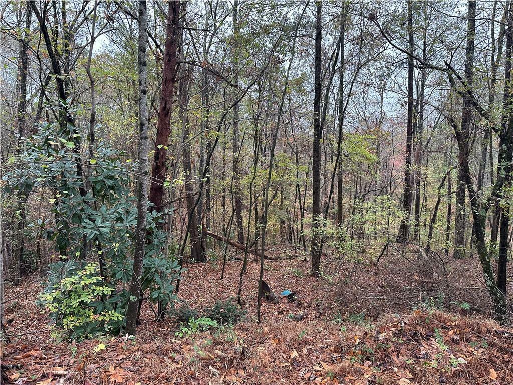 Property Photo:  1531 Four Mile Church Road  GA 30107 