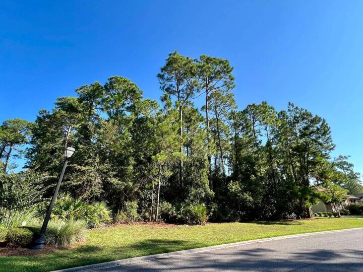 307 Osprey Circle  St. Marys GA 31558 photo