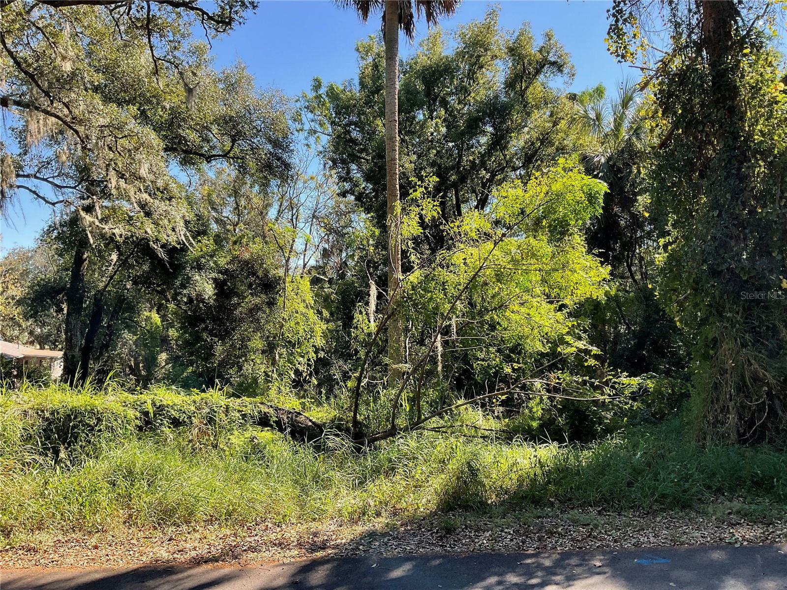 Property Photo:  E Fruitland Street  FL 34731 