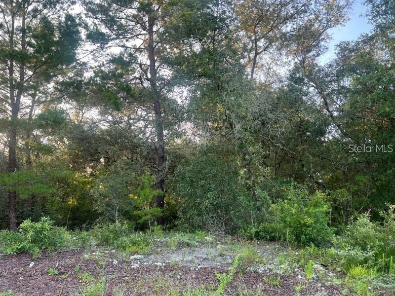 Property Photo:  8839 N Citrus Springs Boulevard  FL 34433 