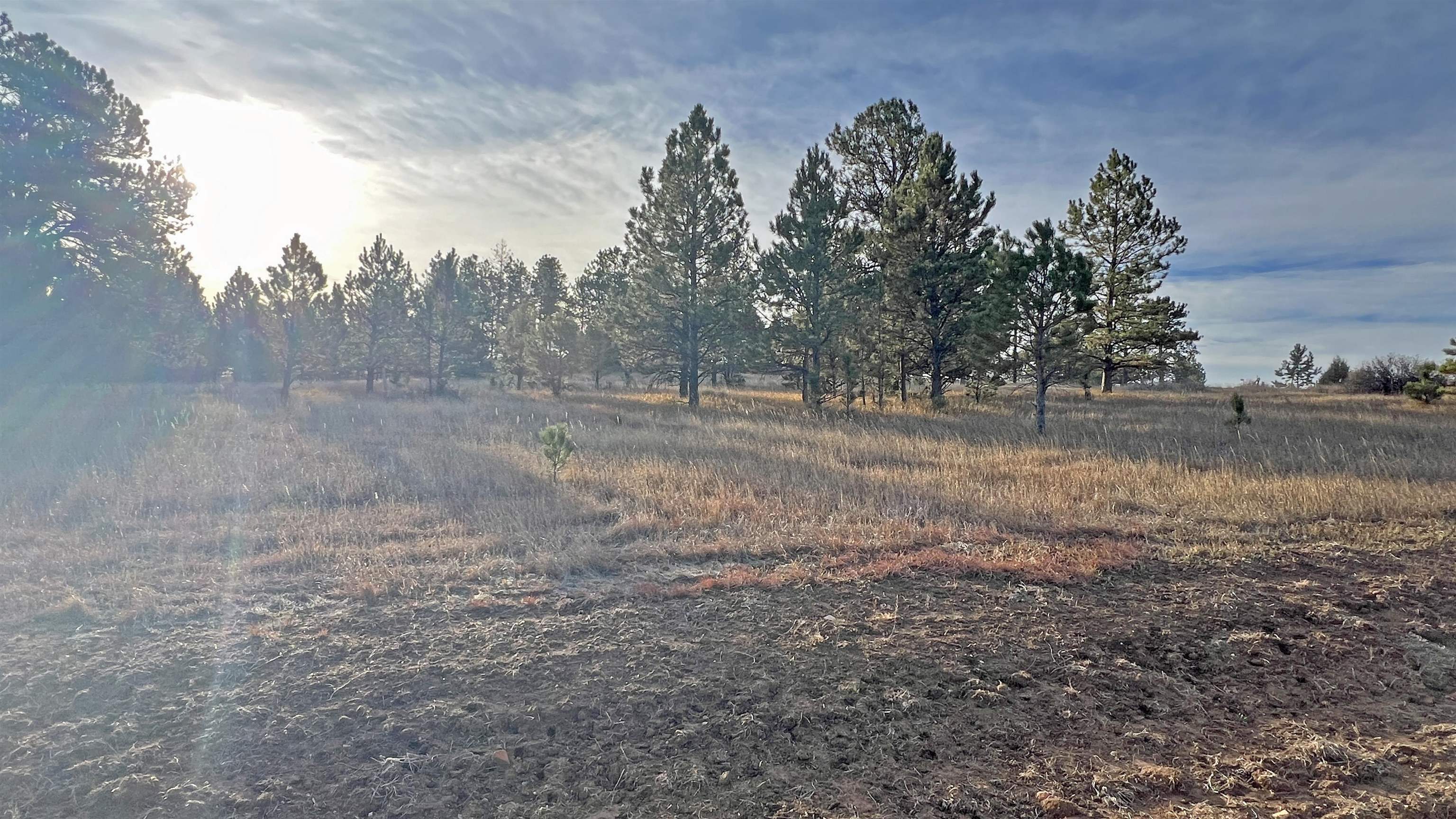 Property Photo:  Lot 2 Westwind Drive  SD 57747 