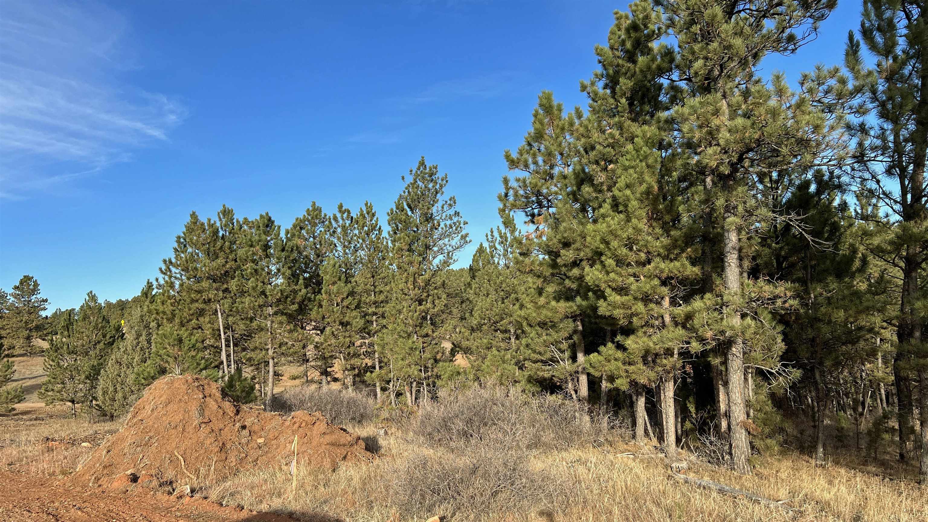 Property Photo:  Lot 5 Westwind Drive  SD 57747 