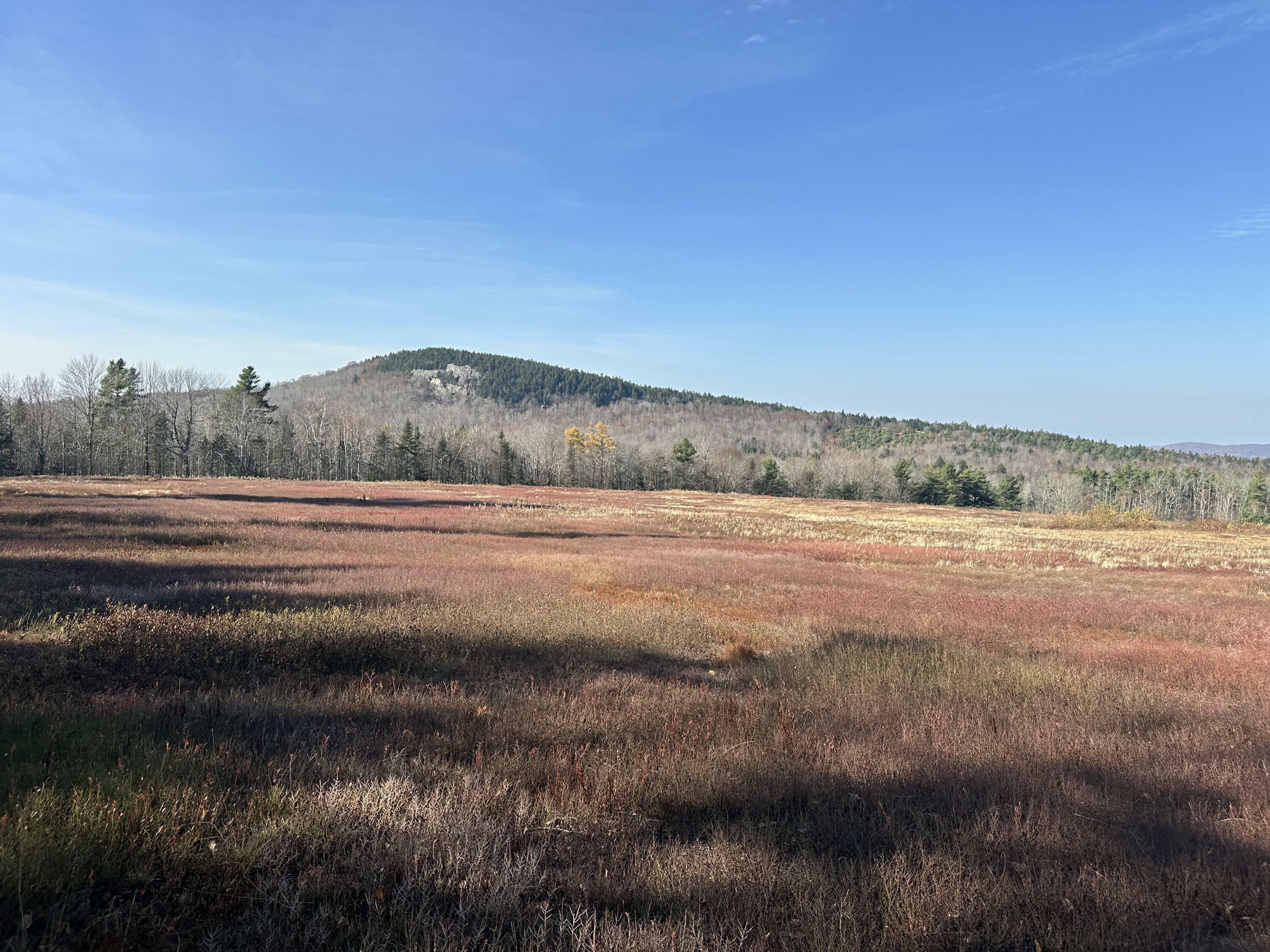 Property Photo:  Map1lot22 Bald Mountain Road  ME 04429 