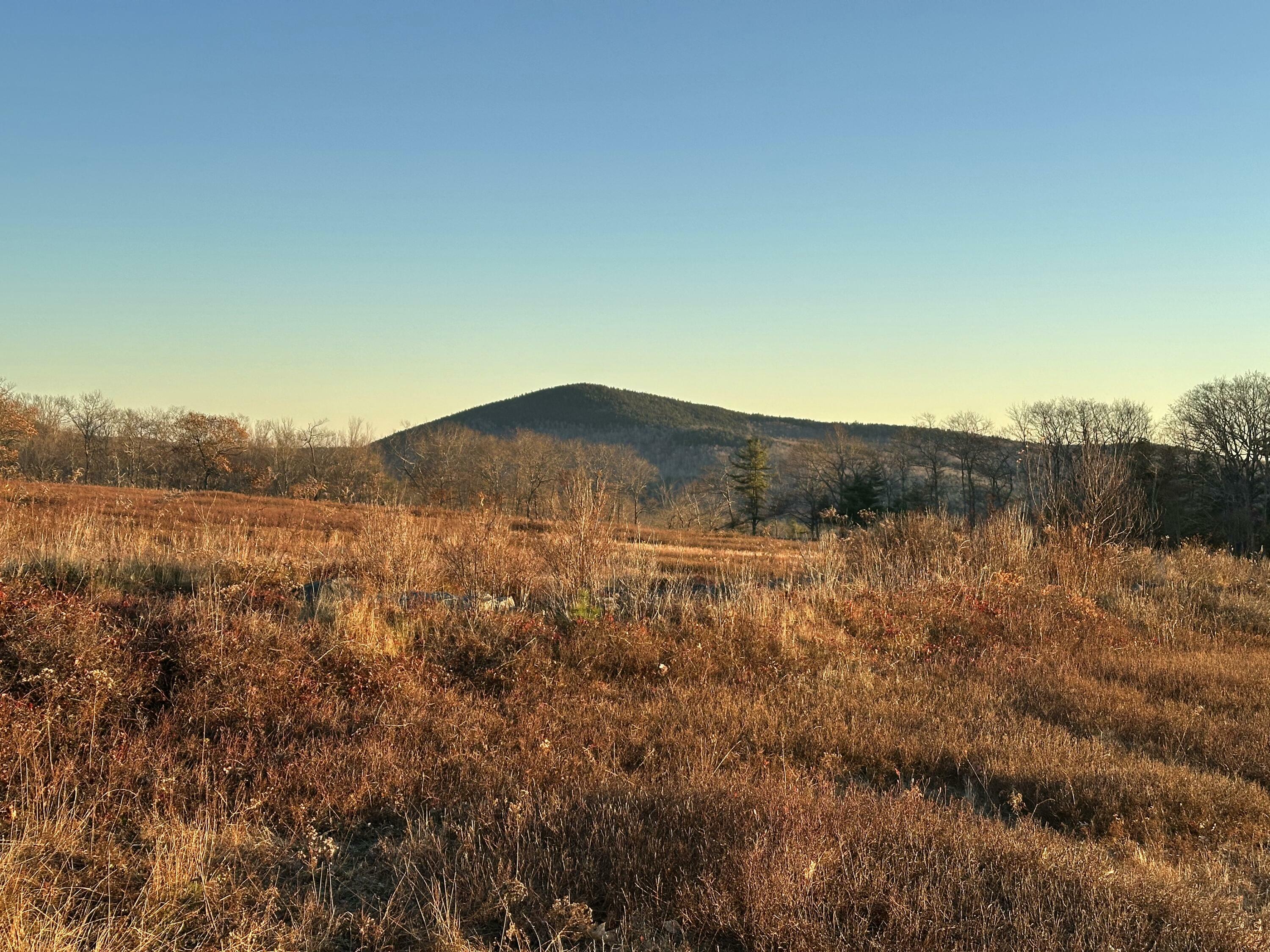 Property Photo:  Map16lot10 Upper Long Pond Road  ME 04416 