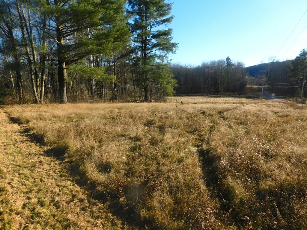 Property Photo:  0 Lakeside Drive  PA 18840 