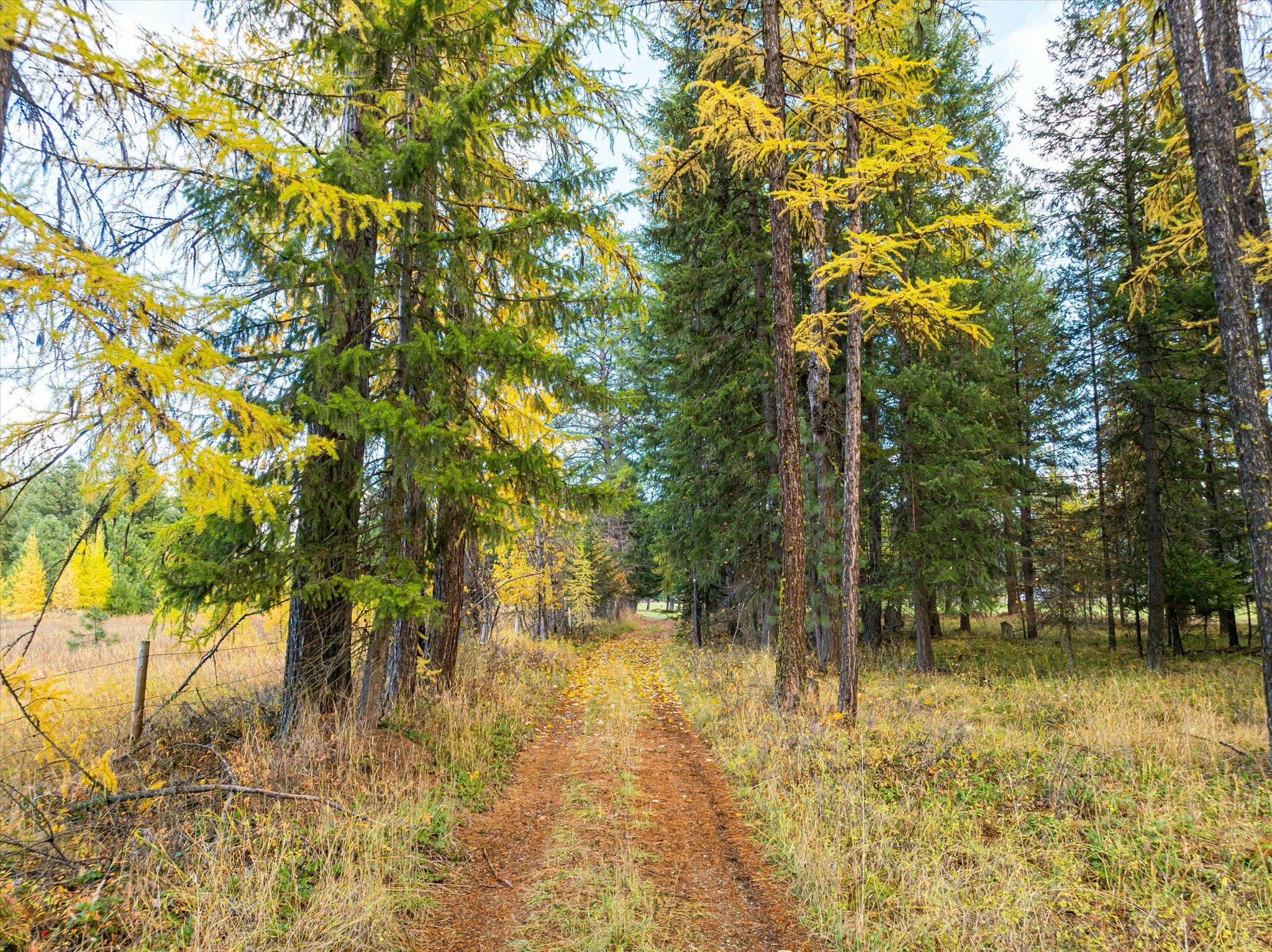 Lot 1 Cabinet Heights Road  Libby MT 59923 photo