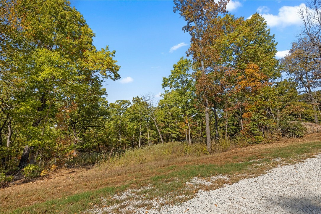 Property Photo:  Lot 86 Restore Ridge  AR 72601 