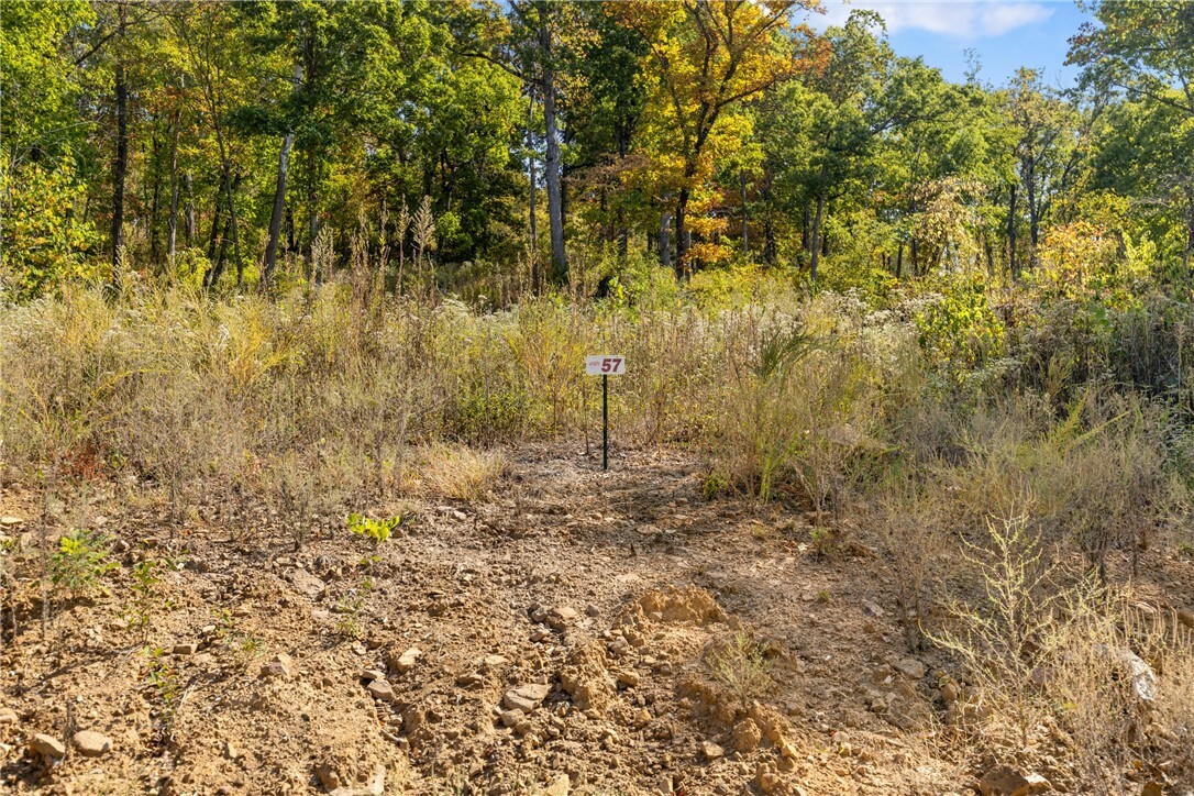 Property Photo:  Lot 57 Restore Ridge  AR 72601 