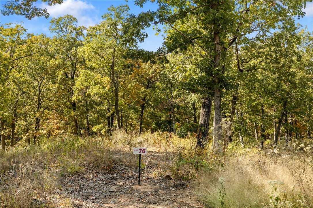 Property Photo:  Lot 76 Restore Ridge  AR 72601 