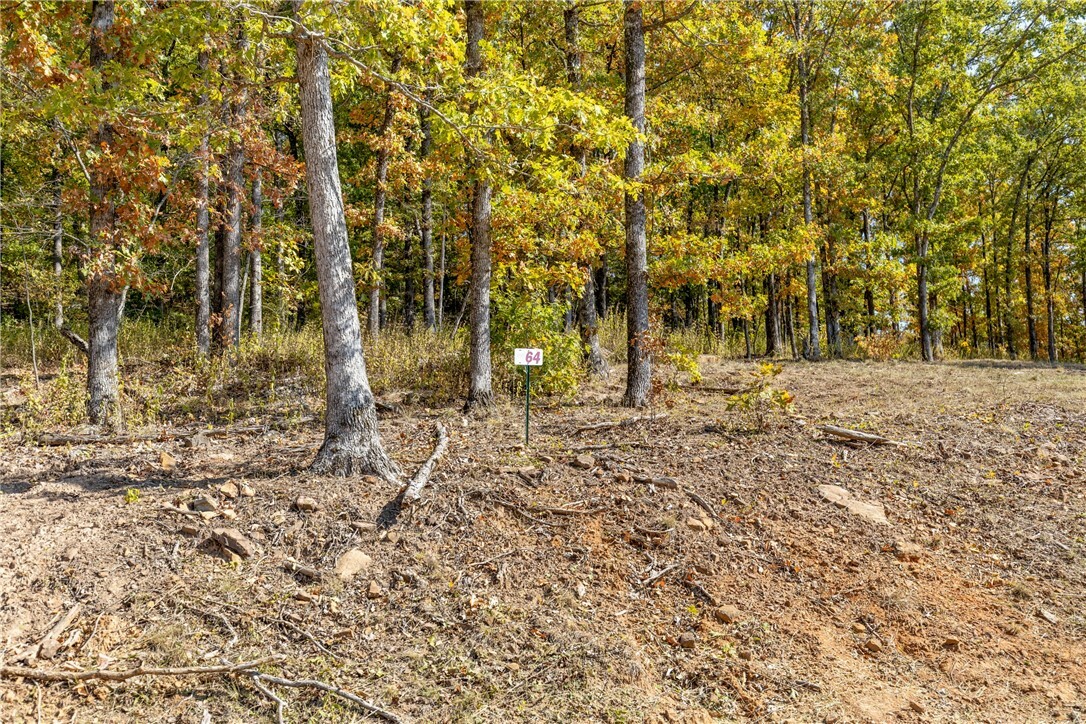 Property Photo:  Lot 64 Restore Ridge  AR 72601 