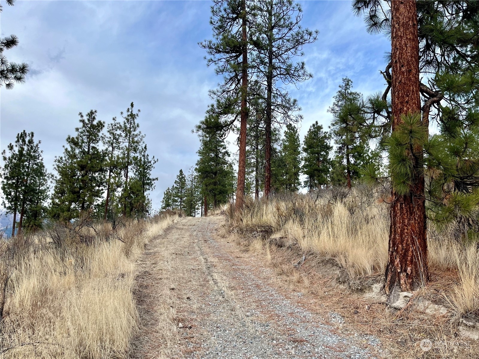 Property Photo:  0 Tract 1A Bear Mountain Road  WA 98816 