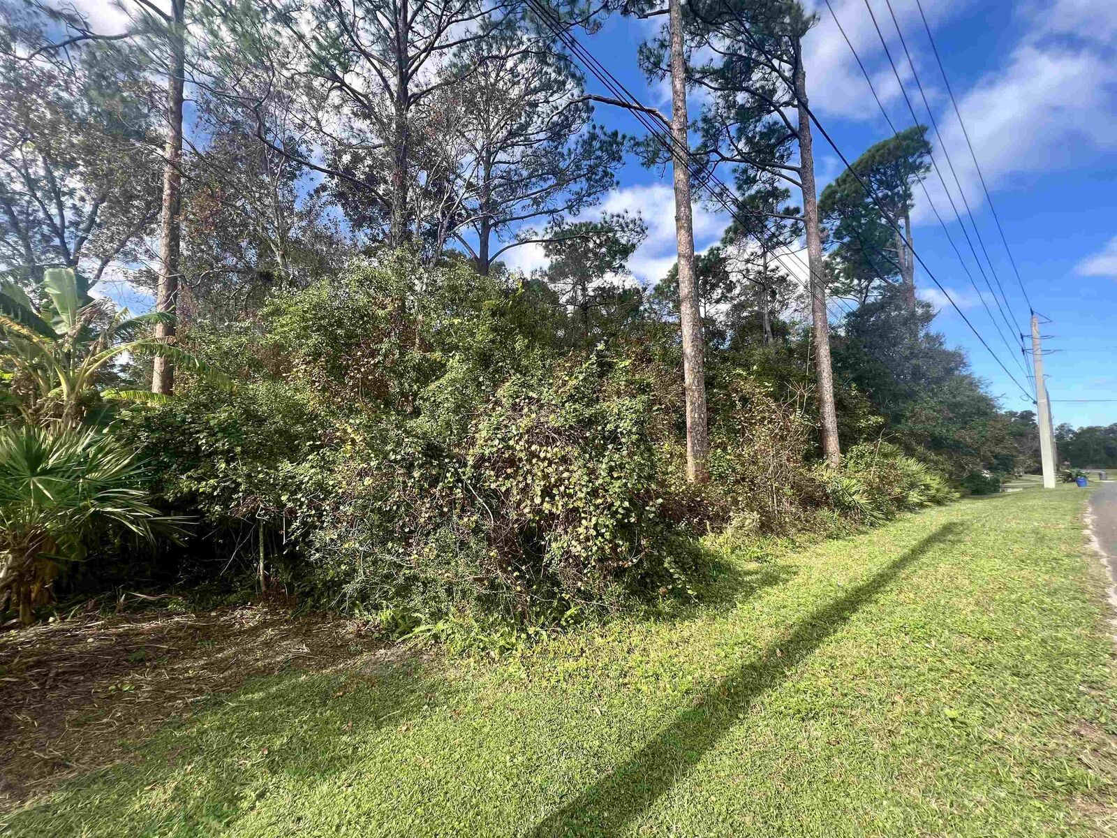 Property Photo:  0 Woodlawn Rd  FL 32084 