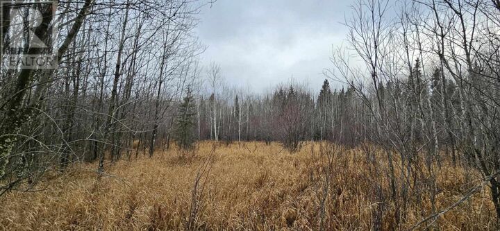 Property Photo:  Pin #420950063 Hwy 17  ON P0V 1P0 