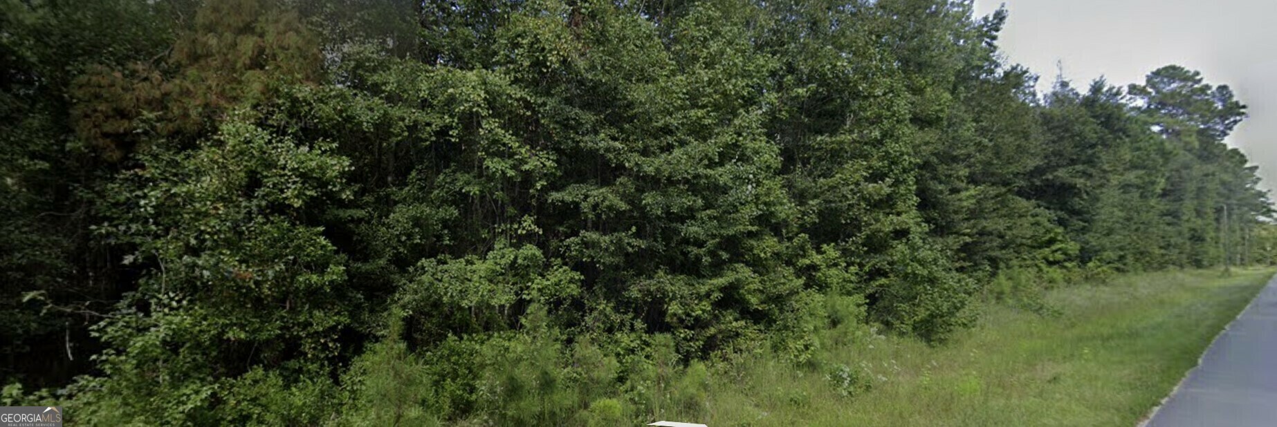 Property Photo:  Tract 1 Old Gress Island Road  GA 31320 