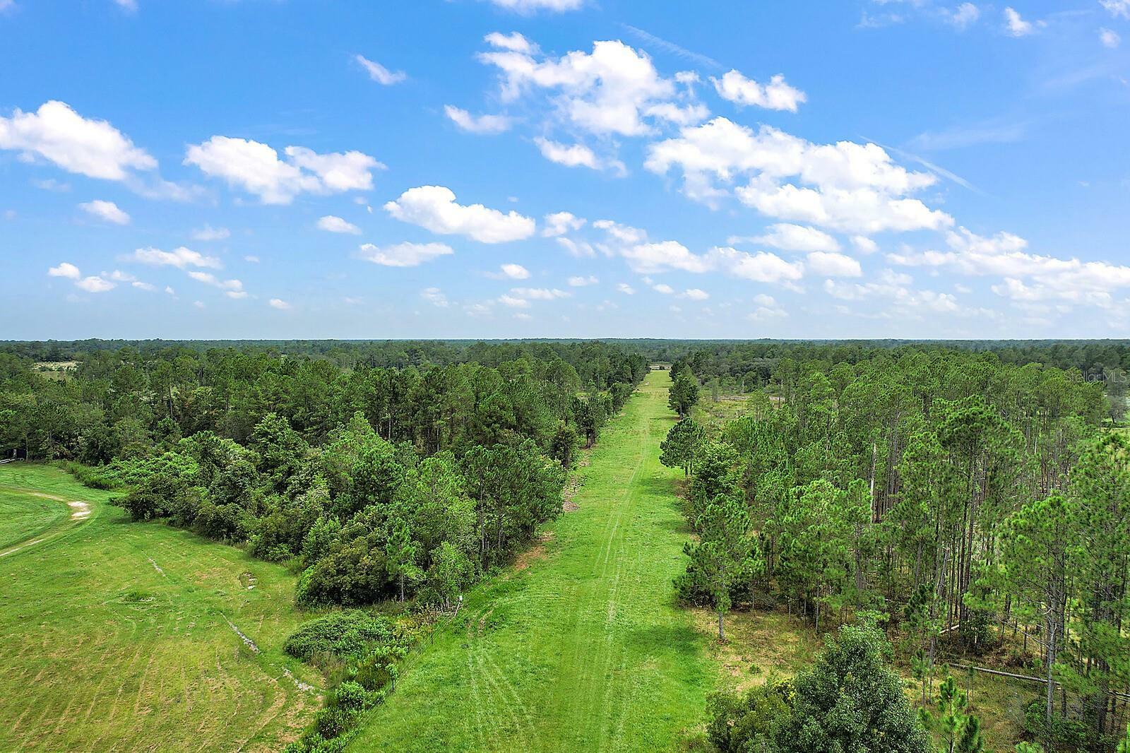 Property Photo:  31614 Bottany Woods Drive  FL 32736 