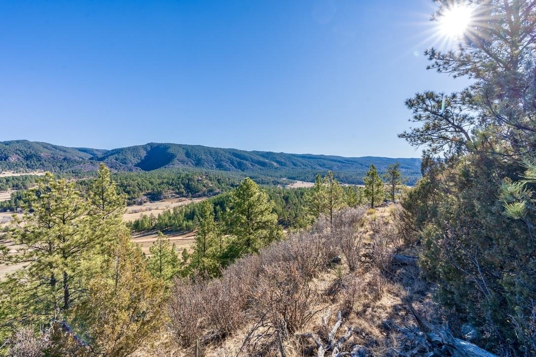 Property Photo:  1238 Beaver Creek Road  WY 82701 