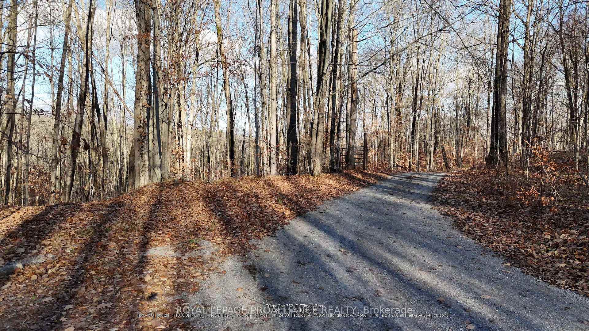 Property Photo:  1098 Twin Sisters Lake Road N  ON K0K 2M0 
