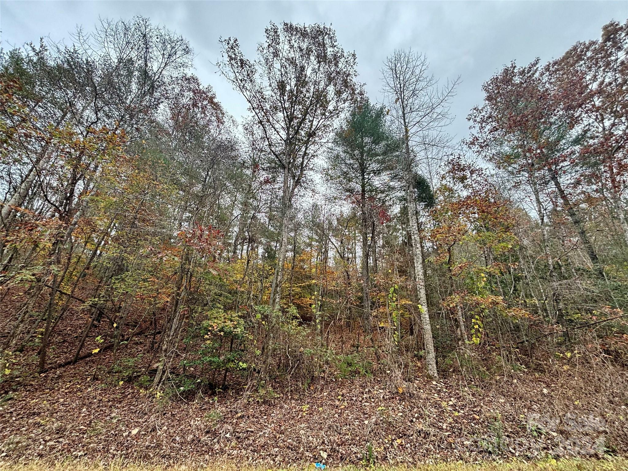 Property Photo:  0 Jonestown Road  NC 28018 