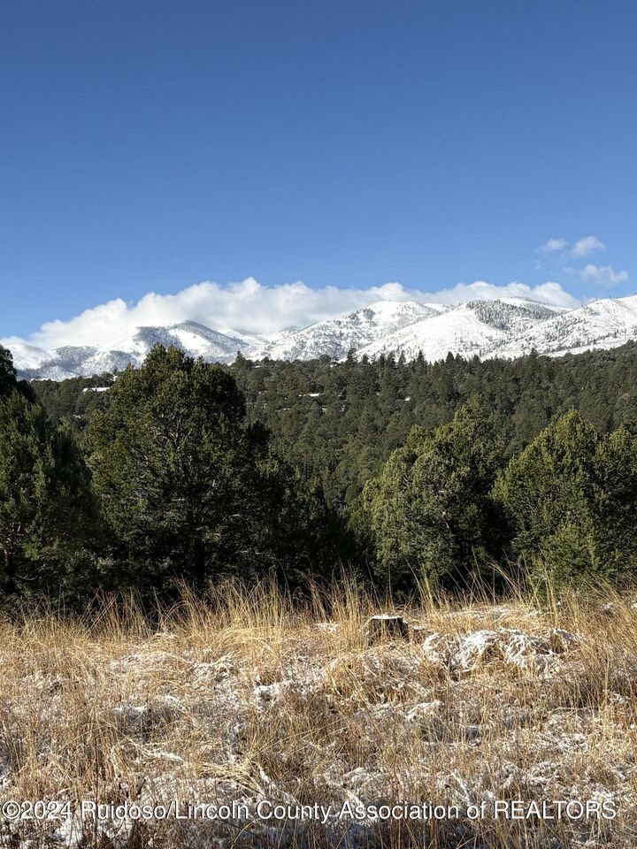 Lot5,Blk1 Woodward Lane  Alto NM 88312 photo