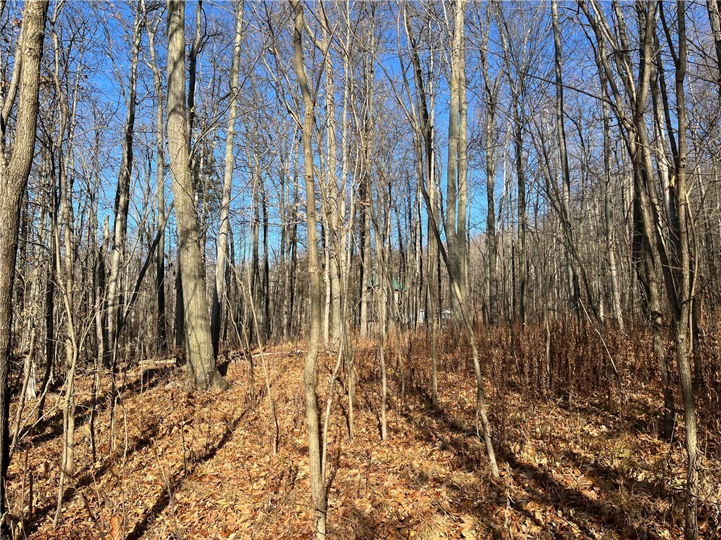 Property Photo:  Lot 16 Wicks Road  NY 14865 