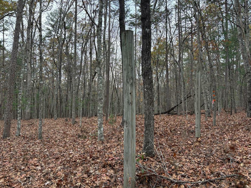 Property Photo:  3.5ac Liberty Hill Road  GA 30560 