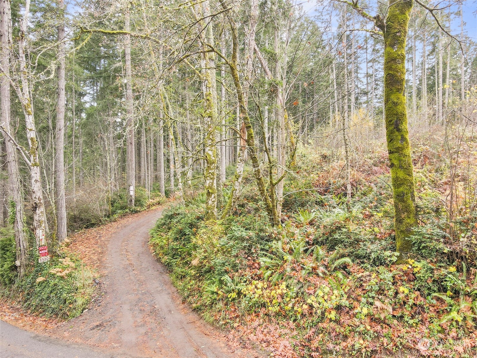 Property Photo:  0 Xx  64th Street Ct NW  WA 98394 