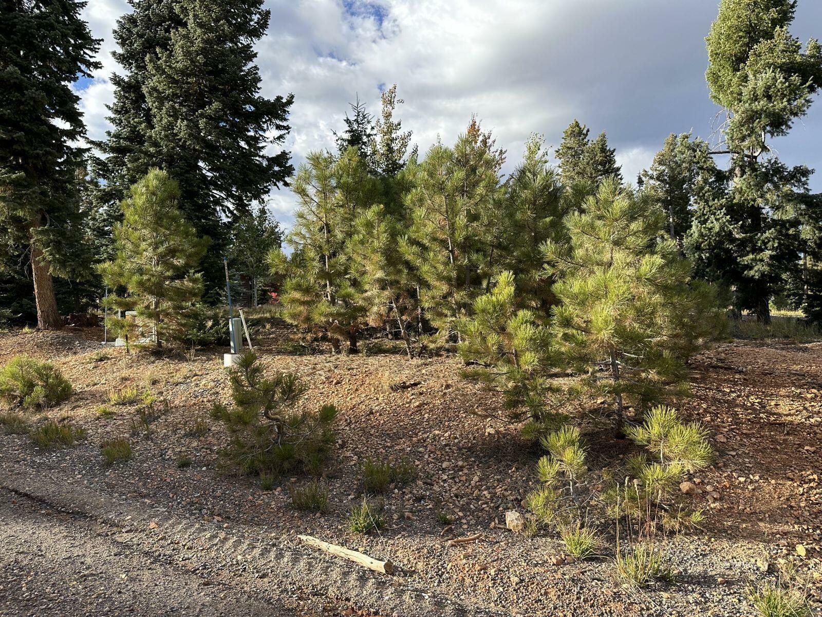 Property Photo:  1255 E Browning Rd  UT 84762 