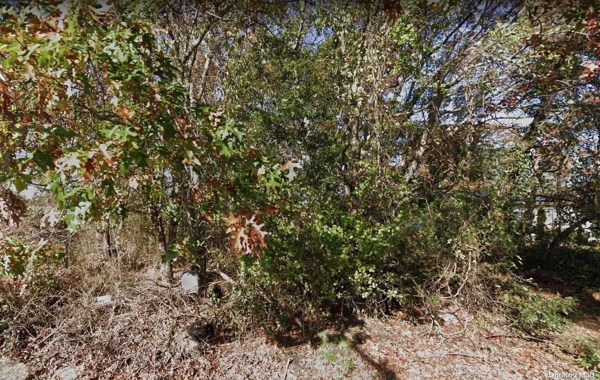 Property Photo:  Amarr Drive  NY 11967 